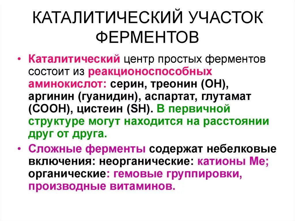 Состав активного центра простого фермента. Структура активного центра фермента. Каталитический центр фермента. Каталитический участок фермента. Состав центров ферментов