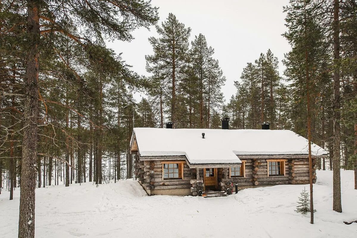 сухостойная сосна кело. фахверк кело. карельская сосна кело. кело канадский кедр. сухая карельская сосна кело.