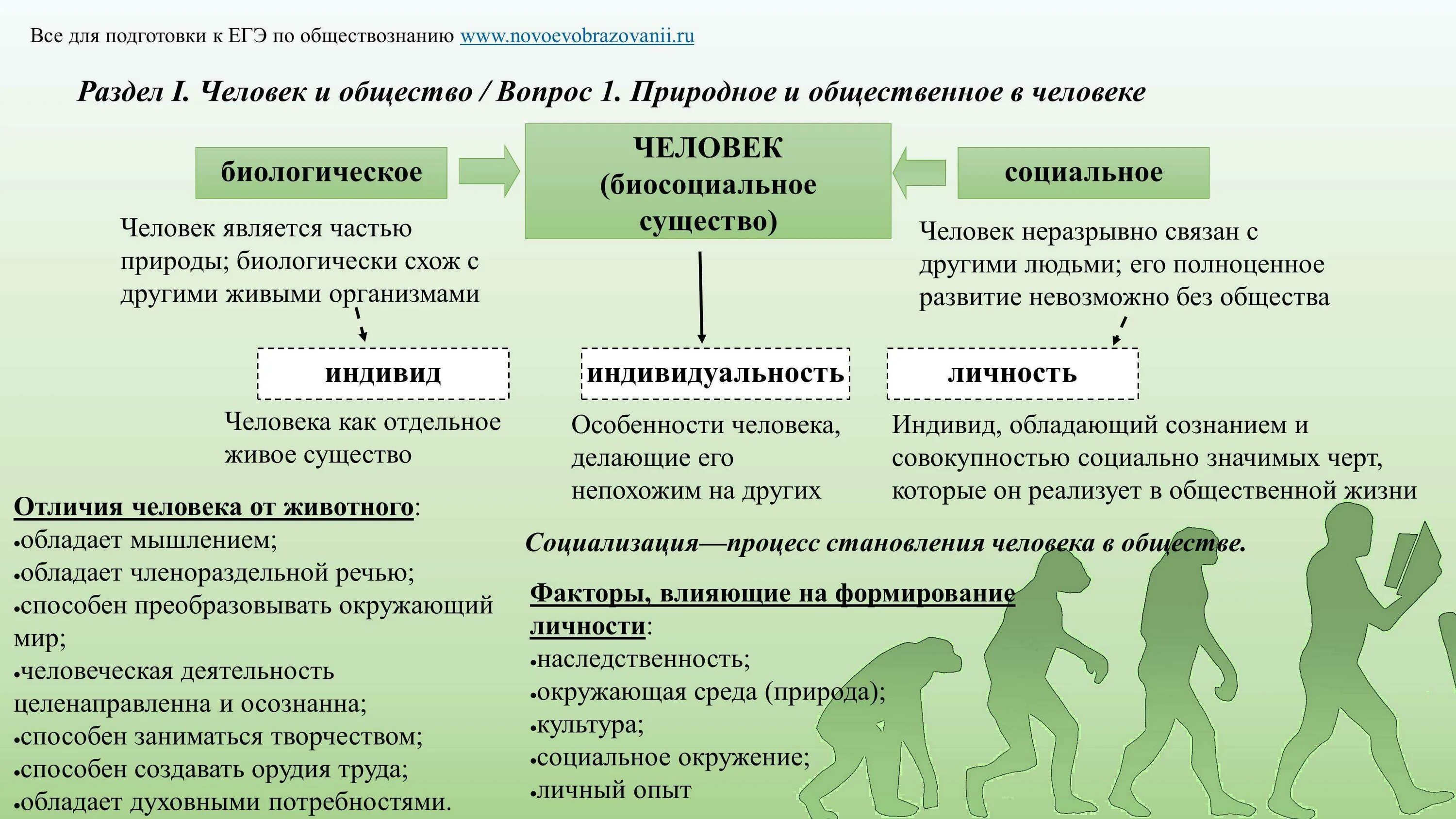 Условием развития человека помимо егэ. Человек и общество Обществознание. Природное и Общественное в человеке ЕГЭ. Природное и Общественное в человеке. Природное и социальное в человеке.