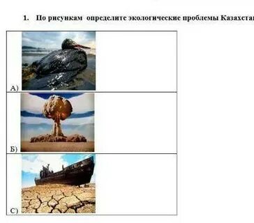 Определение экологической проблемы