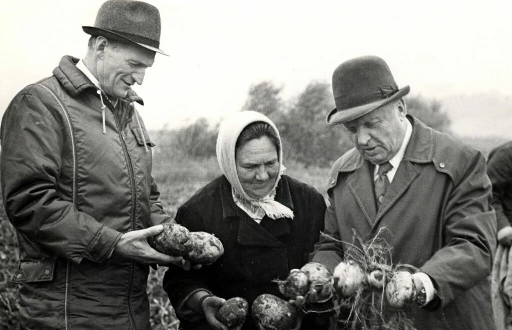 Колхоз комитет. Колхоз комитет. Колхоз заветы ильича лотошинский район. Колхоз им горького московская область ленинский район. Ссср в 1930е годы деревня.