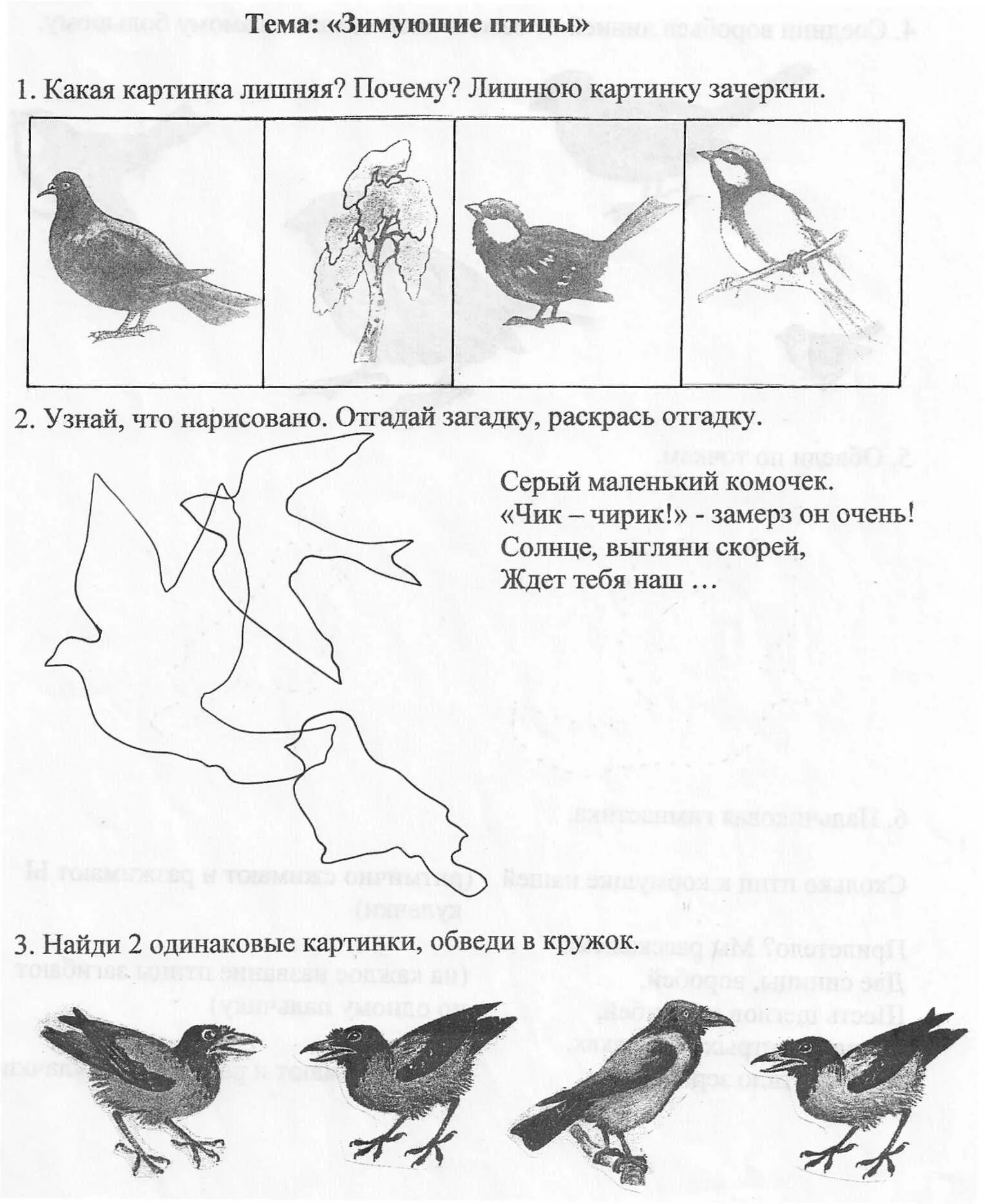 Задания про птиц. Задания для малышей зимующие и перелетные птицы. Зимующие птицы логопедические задания для дошкольников. Перелетные птицы задания для детей 3-4 лет. Задание зимующие птицы подготовительная группа.