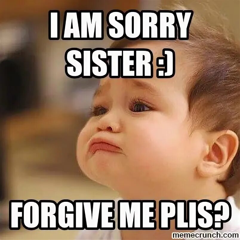 Sorry картинка для детей. Sorry meme. I am so sorry meme. I sorry, sister.... Sorry sisters