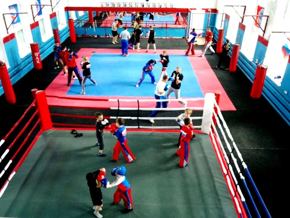 Нокаут омск. Сизов константин омск тренировка. Сават соревнования. Название спортивного клуба. Клуб нокаут омск.