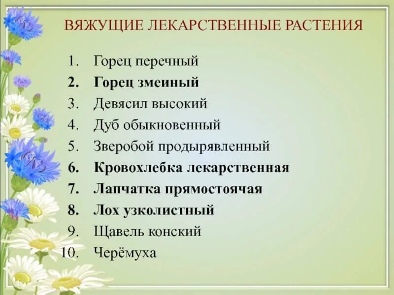 Вяжущие лрс. Вяжущие лекарственные растения. растения вяжущего действия. лекарственных растений обладающих вяжущим действием. лекарственные растения вяжущего действия.