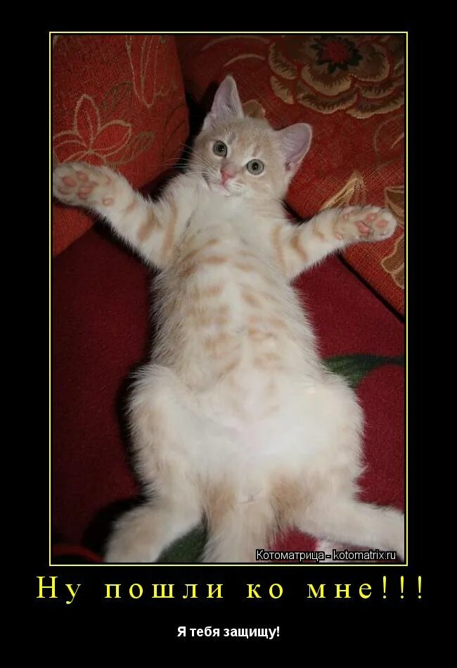 день защиты детей мем. тогда защищайся. с днем защиты детей мемы терминатор. с днем защиты детей лучшая защита это нападение мем. защищайся комиксы.