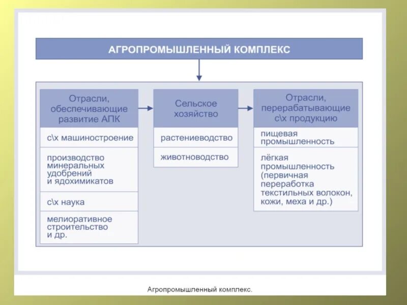 Состав отраслей АПК. Схема структура АПК 8 класс. Агропромышленный комплекс география 9 класс. Структура агропромышленного комплекса РФ. Изменение требований апк