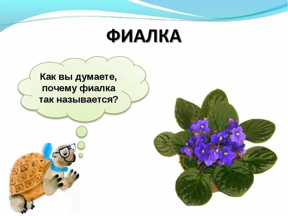 мы знаем кто мы есть но не знаем кем мы можем быть. каждому свойственно ошибаться. не беспокойтесь о том что я делаю цитаты. четверостишие со словами. день нестандартно мыслящих людей.