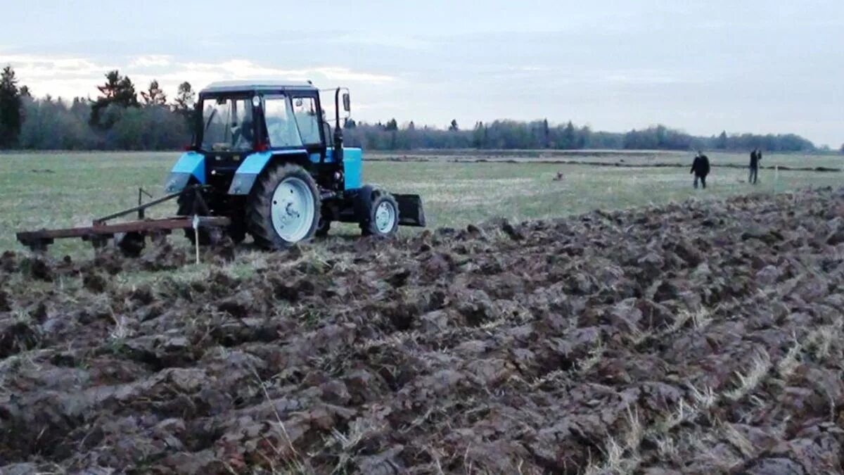 Земля сх 3. Зона сх1. Сх2. Волосовский район фото. Земля сх 3.