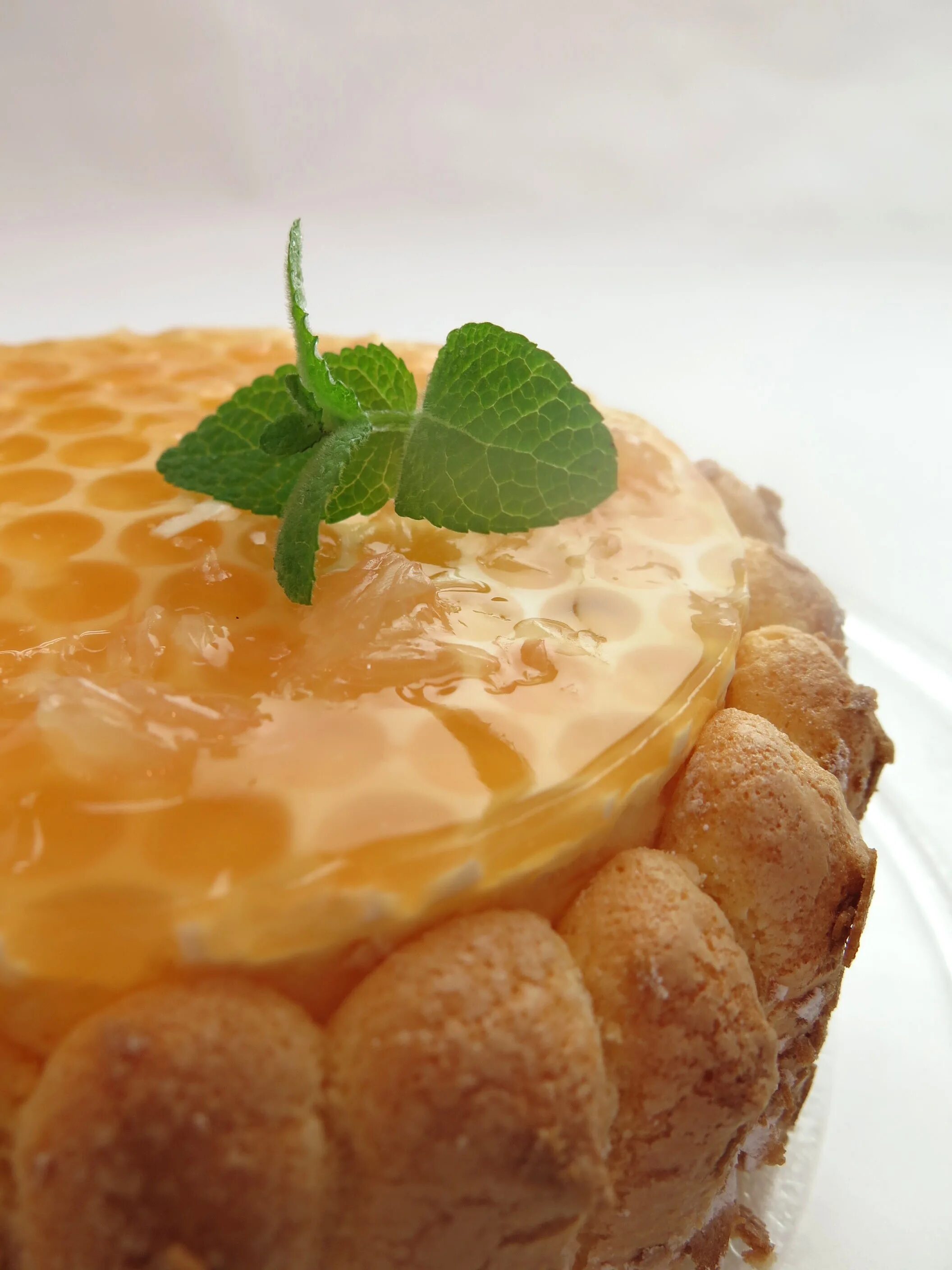 Десерты из меда. Медовые пирожные с кремом. Медовое желе. Медовые пирожные фото. Открытое медовое пирожное.