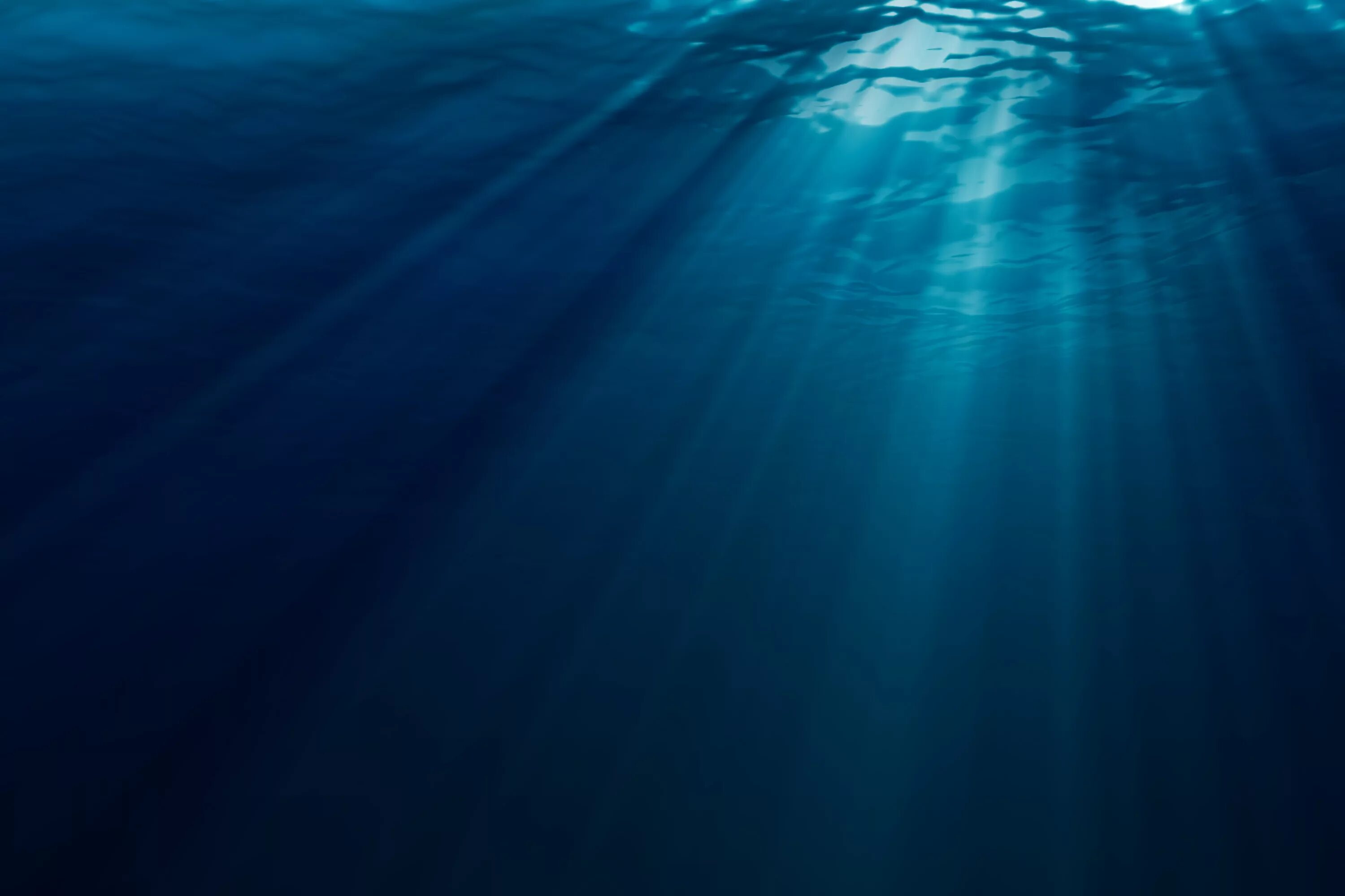 Поверхность воды снизу. Дно океана. Под водой. Морские глубины. Океан под водой.