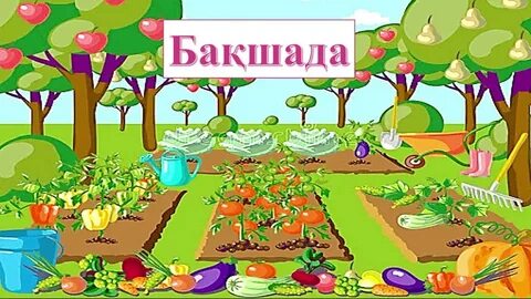 Жалаңаш Дон сфинкстер