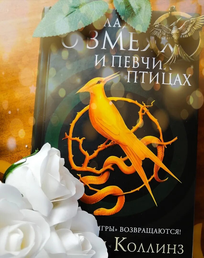 Цитаты баллада о змеях и певчих птицах. Цитаты баллада о змеях и певчих птицах