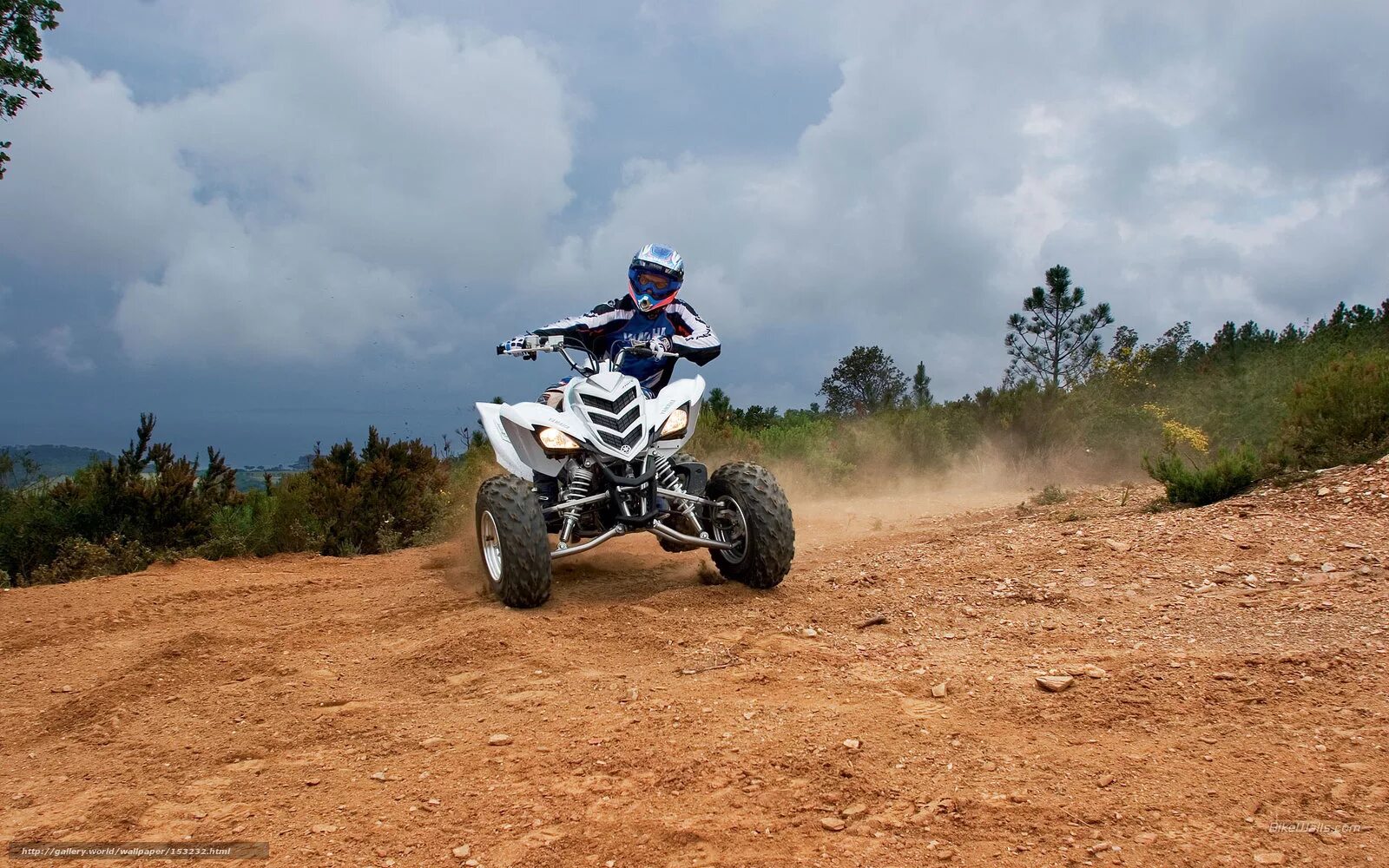 Квадроцикл Yamaha Raptor 700. Atv Yamaha Raptor. Ямаха Раптор 250. Yamaha atv 700.