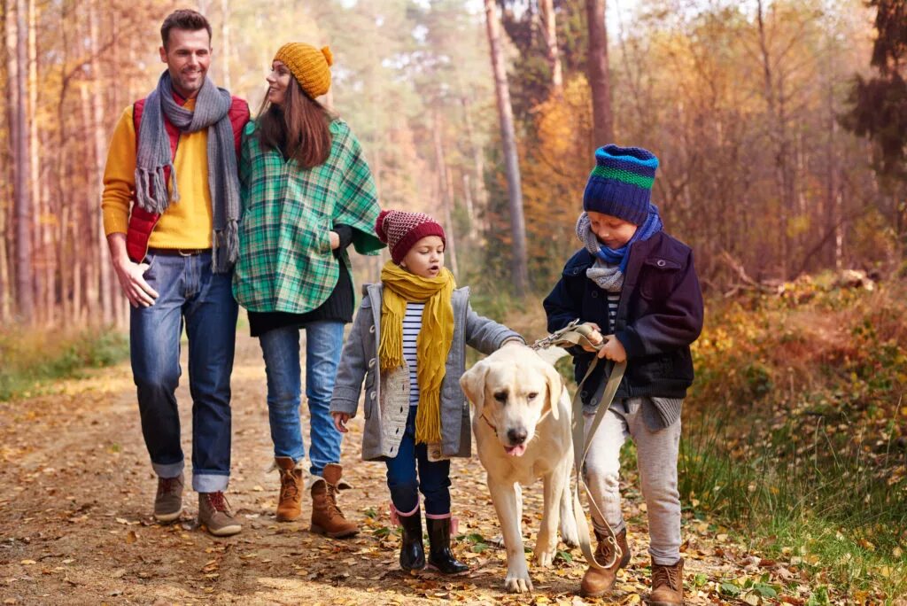 Опишите фотографию семейная прогулка с собакой Happy Young Family Holding Cute Sleeping Newborn Baby at Hom Stock Image Image