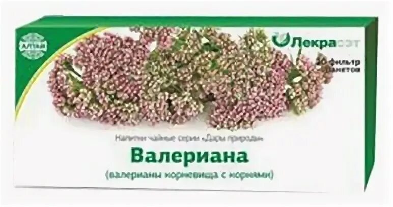 Фиточай валерианы. Фиточай валерианы. Фиточай алтай 33. Валериана фильтр пакеты. Фиточай с валерианой.
