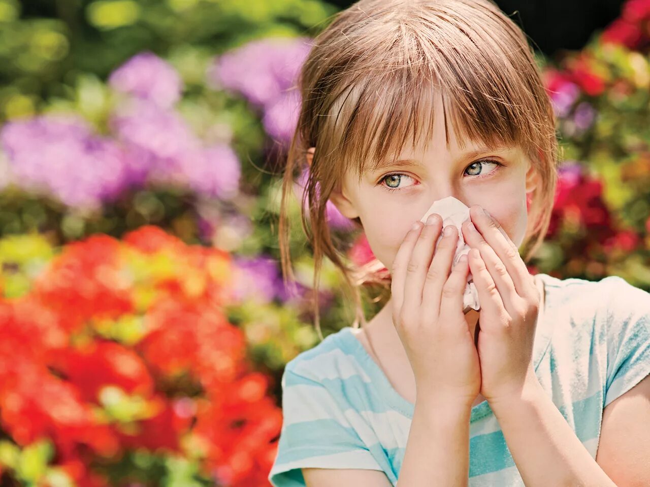 Летний насморк. Аллергические заболевания органов дыхания у детей. Аллергический ринит картинки.