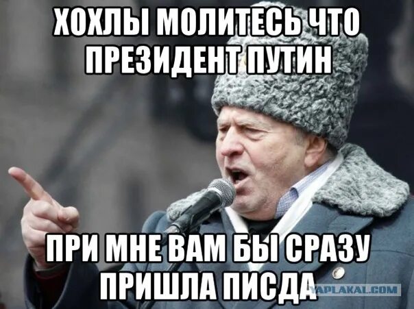 Звук хохлов. Цитаты Жириновского. Прикольные высказывания Жириновского. Смешные высказывания про Хохлов. Жириновский цитаты картинки.