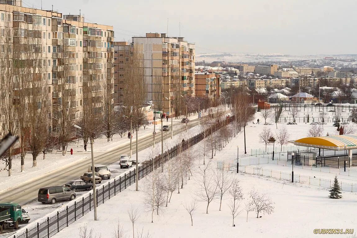 Губкин белгородской области сегодня. Город Губкин улица воинов интернационалистов. Губкин (город). Сквер Лазарева Губкин. Город Губкин Белгородской области.