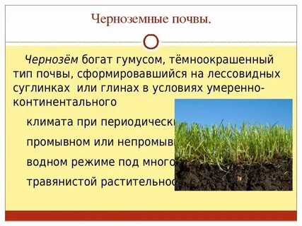 Почему гумус повышает плодородие почвы биология