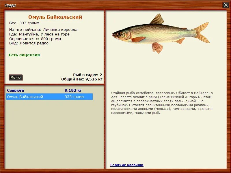 Игра русская рыбалка 3.7. Рр3 Подкаменная Тунгуска омуль Байкальский квест. Русская рыбалка Подкаменная Тунгуска. Русская рыбалка 3 Подкаменная Тунгуска омуль. Омуль вес.