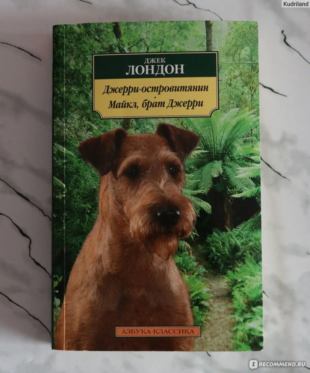 Джек лондон джерри островитянин. Островитянин азаров. Джек островитянин книга. Джек островитянин книга. Джек лондон островитянин.