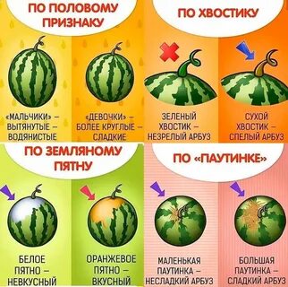 Тест какой ты арбуз