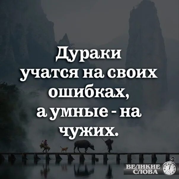 Учиться намсвоих ошибках. Умный учится на чужих. Умный учится на ошибках. Учись на чужих ошибках.