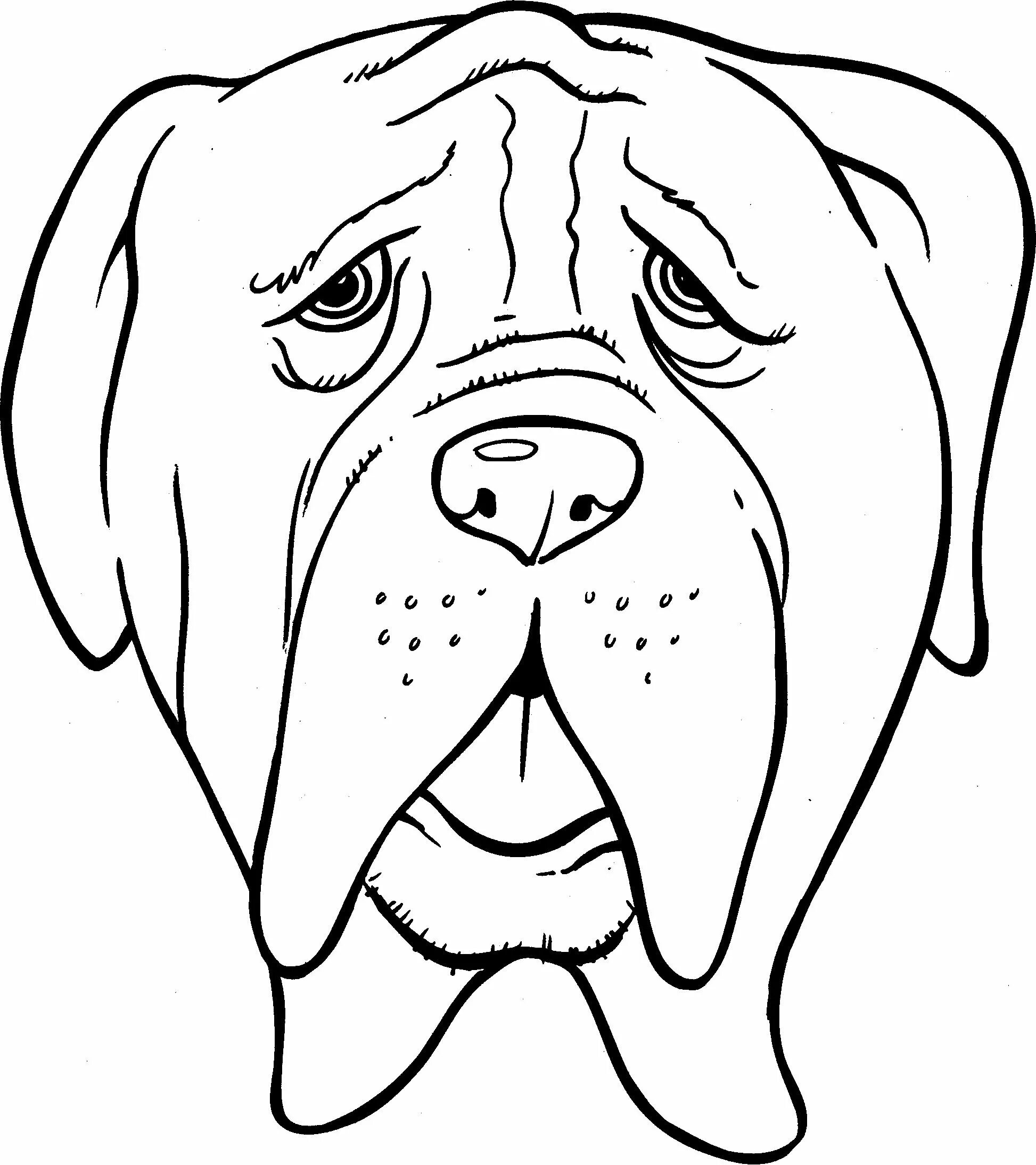 Распечатать голову собаки. Раскраска "собаки". Морда собаки рисунок. Голова собаки раскраска для детей. Мордочка собаки рисунок.