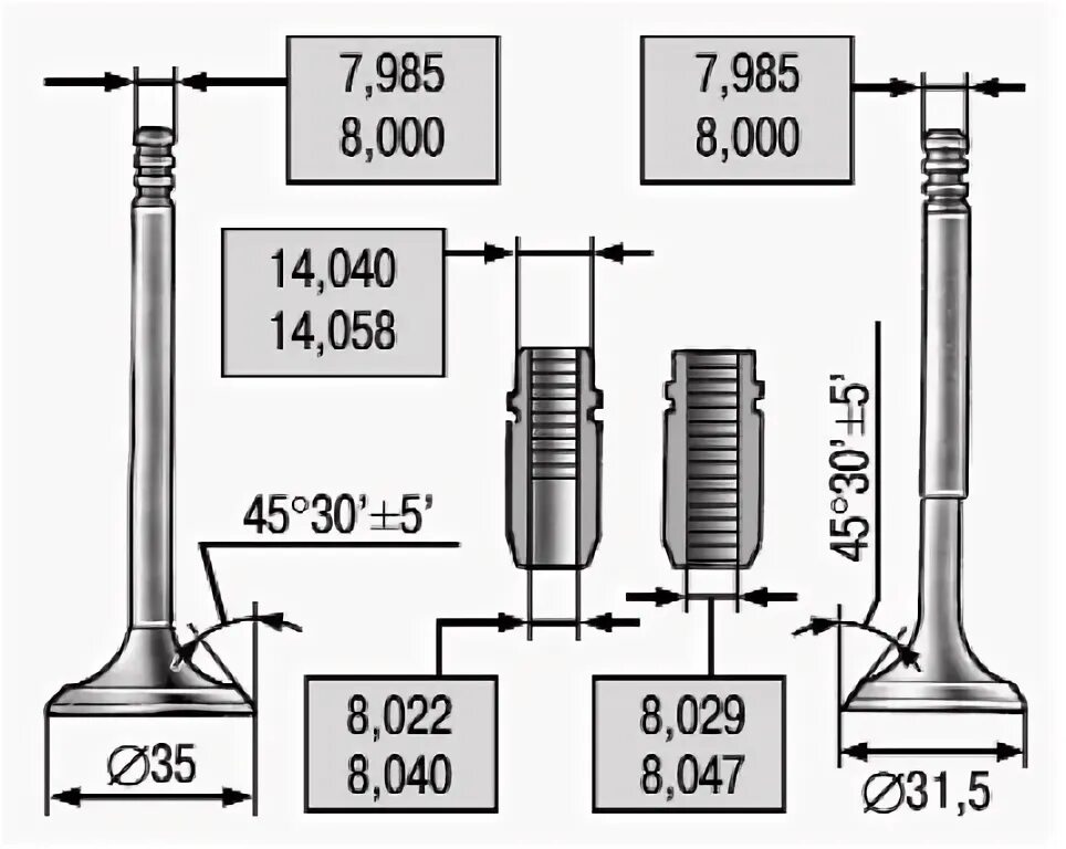 Размеры клапанов ваз 8 клапанов. Диаметр клапана ВАЗ 2112 16 клапанов. Размер направляющих клапанов ВАЗ 2112 16 клапанов. Размер направляющих клапанов ВАЗ 16 клапанов. Диаметр клапана Приора 16 клапанов.