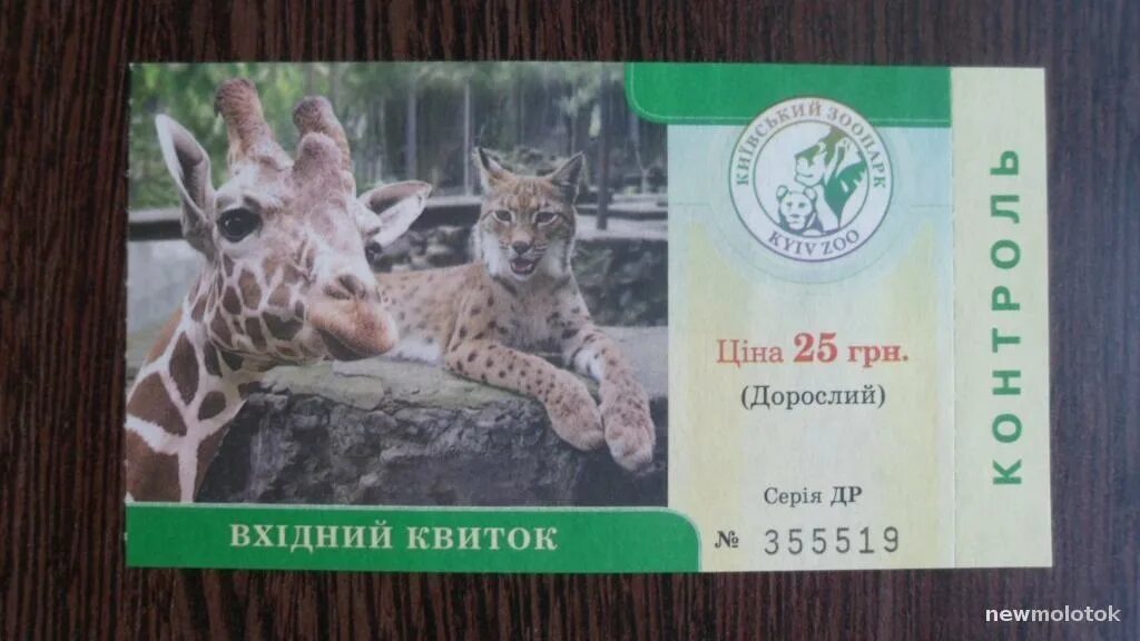 Сайт зоопарка купить билет. Билет в зоопарк. Московский зоопарк билеты. Билет в зоосад. Билет в зоопарк фото.