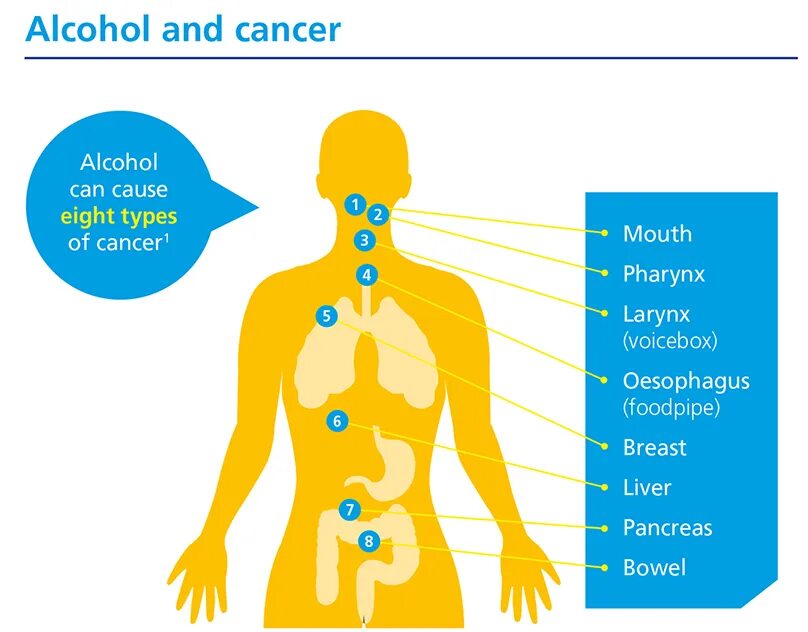 Cause 8 1. Causes of alcoholism.