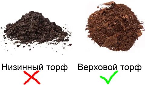 Верховой торф для каких растений