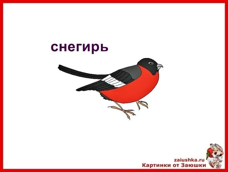 Снегирь и Ласточка. Снегирь с надписью. Птицы синица Воробей Снегирь дятел сорока. Ласточка карточка для детей.