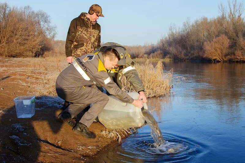 Сорочинское водохранилище оренбургской. Кумакское водохранилище. Сорочинское водохранилище. Сорочинское водохранилище пляж.