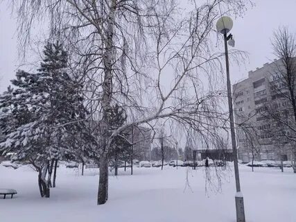 Погода в ноябре в елабуге
