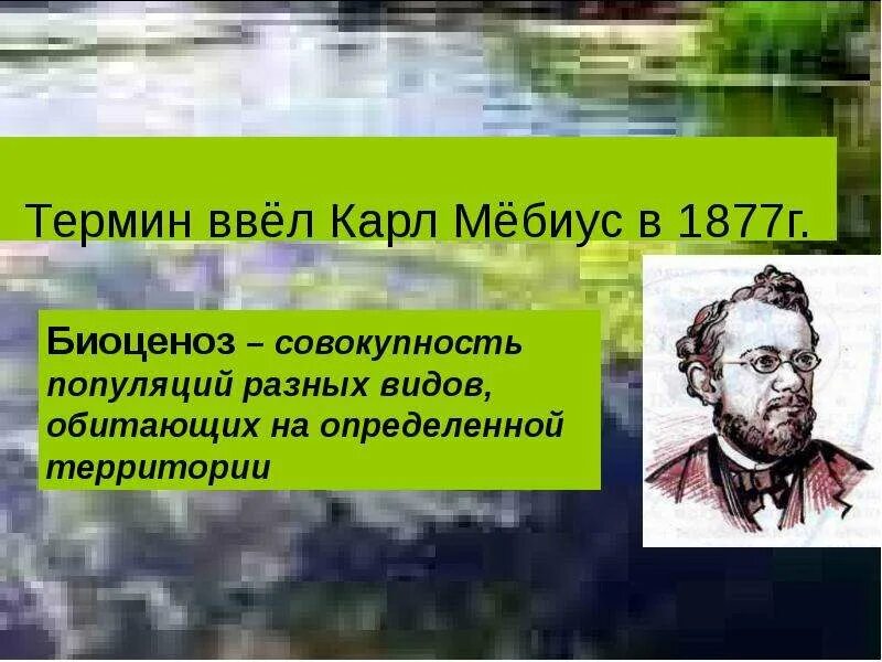 Как называется совокупность различных животных в биоценозе