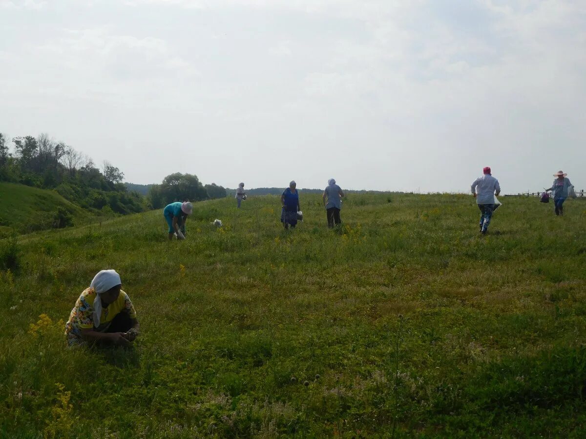 село балыкла самарская область камышлинский район. население балыклы федоровский район. погода ст балыкла. старые балыклы. новая балыкла карта.