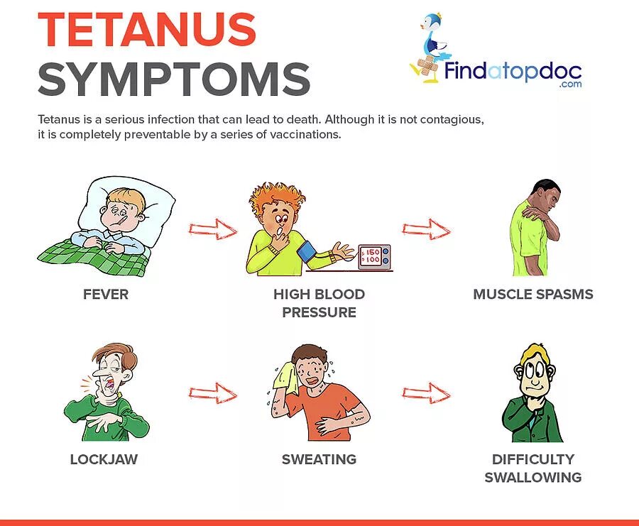 Tetanus the main Symptoms of tetanus are stiffness of jaw.