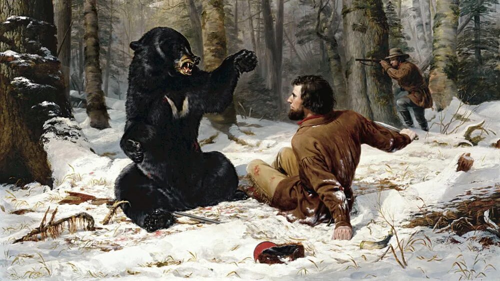 Схватка с медведем. Американский художник Arthur Fitzwilliam Tait (1819-1905).