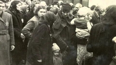Геноцид евреев год