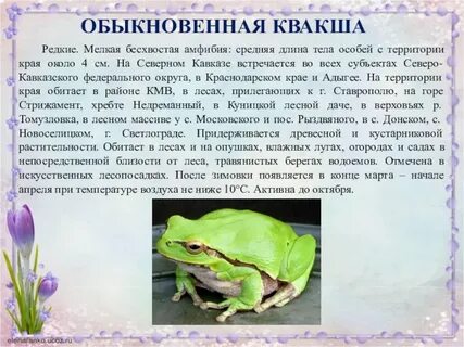 Животные занесенные в красную книгу ставропольского