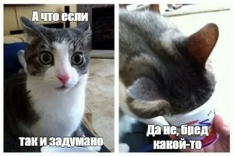 Хватит прислал