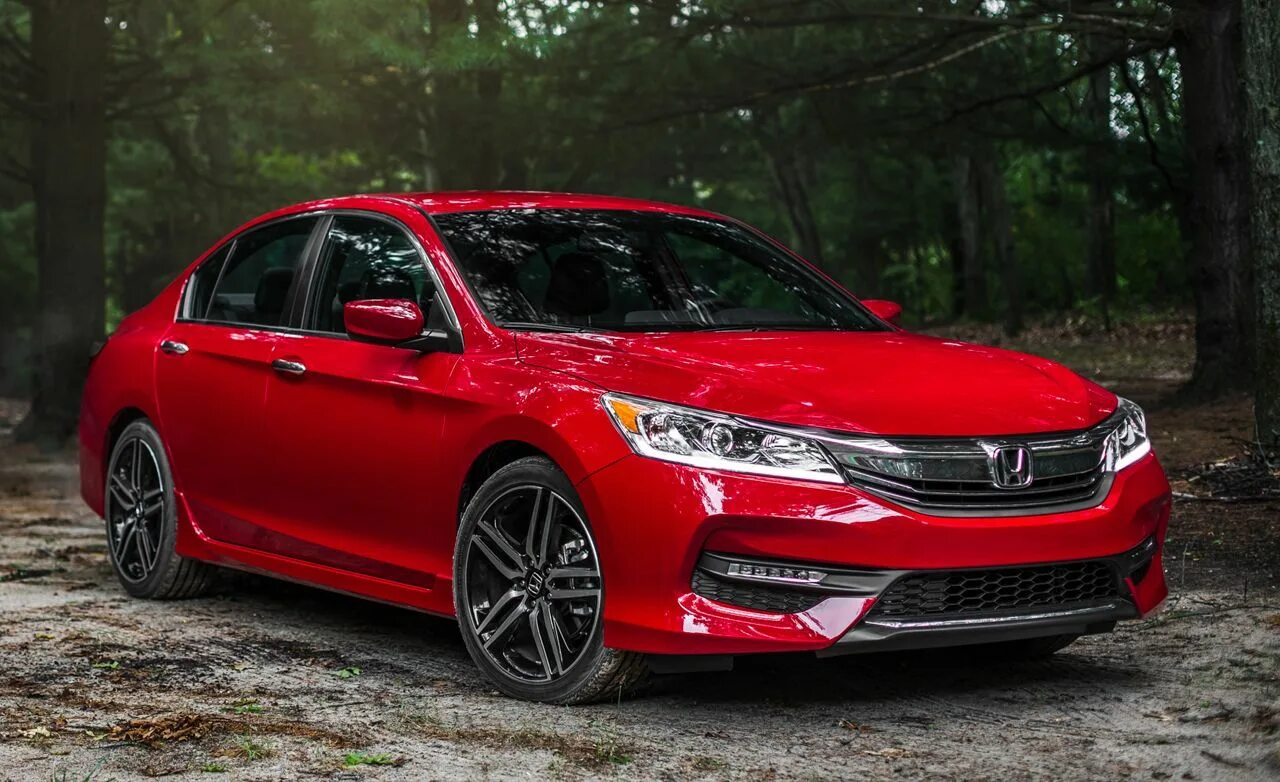 Accord sport. Honda accord sport 2016. Accord sport. Хонда аккорд спорт 2013. Хонда accord 2013.