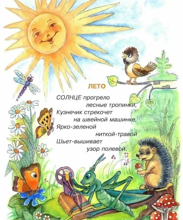 Лето строчки. Стих про лето. стих пол лето. детские стихи о лете. детские стихи про лето короткие.