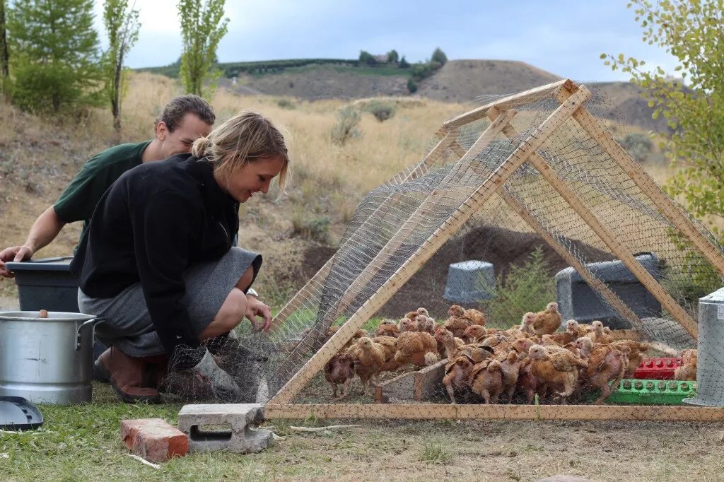 Продажа подсобных хозяйств. Домашнее хозяйство. Подсобное хозяйство. Небольшое фермерское хозяйство. Фермерство в деревне.