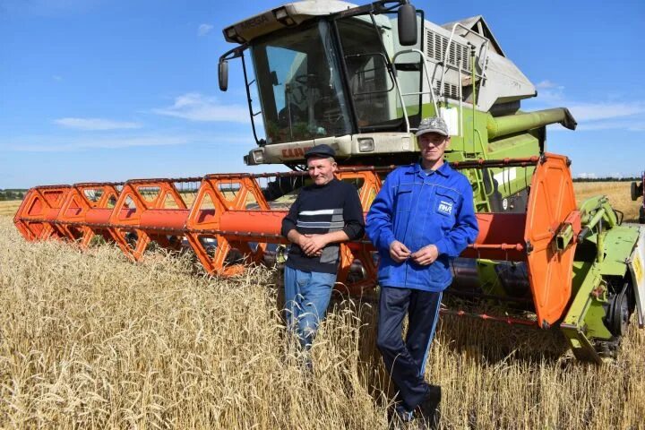 профессия хлебороб презентация для детей. хлебороб это профессия. хлеборобы или хлеборобы. хлебороб это профессия. профессия хлебороб.