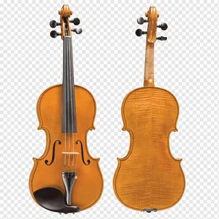 Viola violin