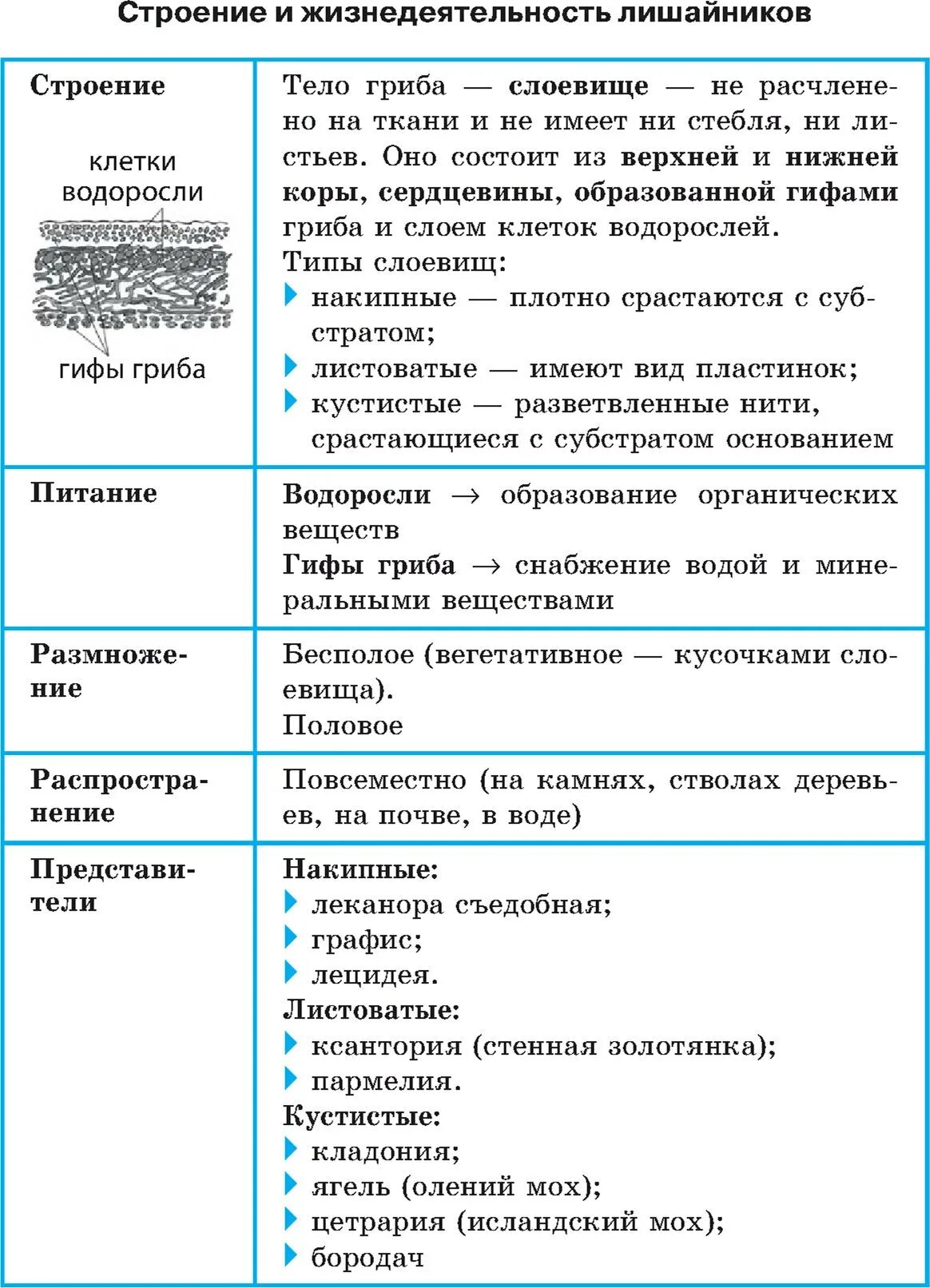 Строение и жизнедеятельность лишайников таблица. Строение и жизнедеятельность лишайников. Процессы жизнедеятельности лишайников. Особенности строения и жизнедеятельности лишайников.