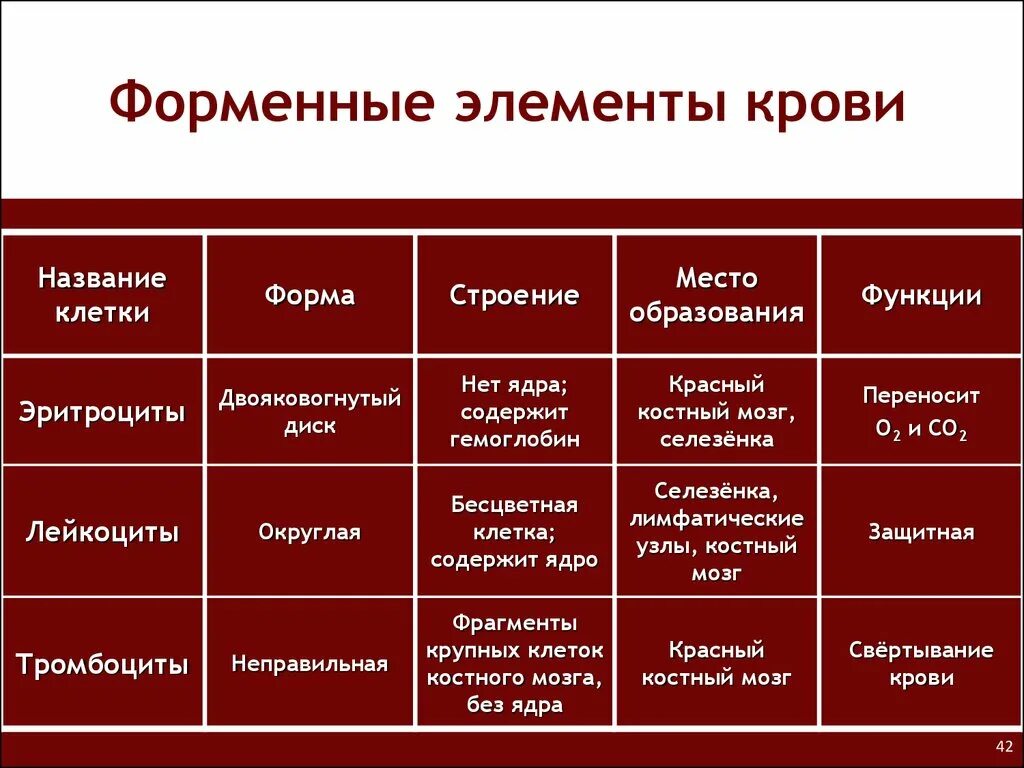 Группы форменных элементов